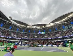 包含上海久事内部会议纪要流出——转会期门线救险，欧联使命明确，球队文化再被提及的词条